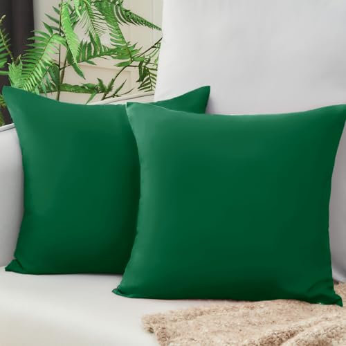 Vielit Sofa Kissenbezug 50x50 Grün Weich Kopfkissenbezug 50x50 2er Set Mikrofaser Kissenbezüge 50x50 Kissenhülle Für Kissen 50x50cm Öko-Zertifikat Resistent Hypoallergen