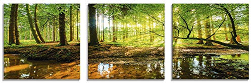 ARTLAND Wanddeko Glasbilder Wandbild Glas Bild Set 3 teilig je 50x50 cm Quadratisch Wald Natur Landschaft Bäume Bach Sonne Frühling T9IO