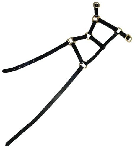 Hy Leather Foal Head Collar(Black, X-Large)