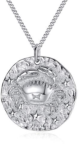 VIKI LYNN Collier Pendentif Argent de 12 Signes du Zodiaque Astrologique Cancer en Argent Fin 925 Idée Cadeau Bijoux Fantaisie Série Douze Constellations pour Homme Femme Garçon Fille