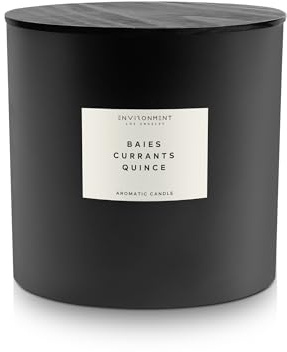 Environment Inspired by Designer Perfume DYPT Baies Candle, 55oz Luxury Coconut Apricot Wax Candles for Home (Baies | Currants | Quince) Home Fragrance Products, 4 Wick Candle, Vegan & Cruelty-Free