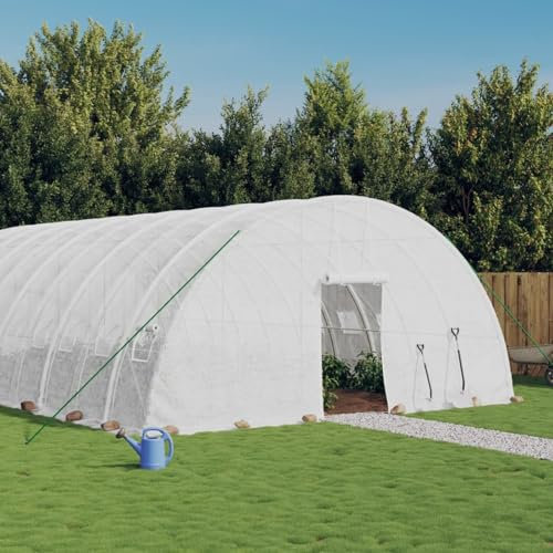 ZEYUAN Serre avec Cadre en Acier Blanc 120 m² 20x6x2,85 m,Carport Abri Voiture,Serre Tunnel