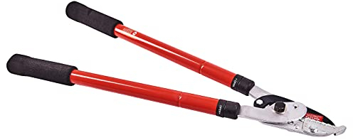 Flostream Ltd Am-Tech Coupe-Branche à Enclume Ultra-résistant avec Manche télescopique