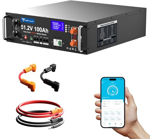 LiFePO4 48 V 100 Ah Bluetooth con 100 A BMS, 5,12 kWh 48 V batteria al litio supporto inverter di comunicazione per impianto solare, set completo, impianto fotovoltaico, camper