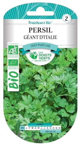Graines persil géant d'Italie BIO Les Doigts Verts