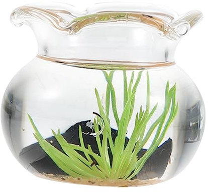 TOYANDONA Koi-Aquarium aus Glas Mikrohaus Dekoration Puppenhausminiaturen Miniatur Fischglas Miniaturmöbel Aquarium für Minihaus Puppenhaus-Miniaturzubehör Miniatur-Puppenhauszubehör