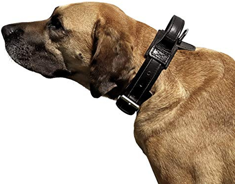 DINGO GEAR Tyghalsband för hund, Amortiserad, svart, med handtag, handgjord Drago S04025