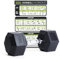 PhysKcal Hexagon Hanteln Poly-Gummierte | 15 kg 1 Stück | Rutschsicher Ummantelt | Ergonomische Verchromte Griffe | Kurzhantel-Set | Dumbbells Set