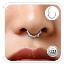 ESHIONER G23 Titanio Anelli Naso Scomparto Donne Argento Ipoallergenico Fiore Scomparto Clicker Anello Carino Piccolo Segmento Incernierato 8MM 16G Gioielli Piercing Setto Nasale