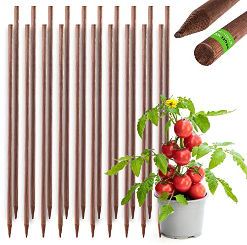 KADAX Rankhilfe aus Holz, imprägnierte Pflanzstäbe, Kletterpflanzen-Stab, wetterfeste Rankstange, Blumenstab, Rankgitter, Holzpflöcke, Pfähle (20, 28mm x 120cm)