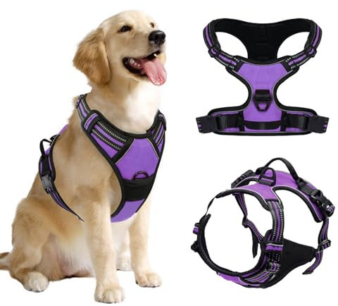 DKDDSSS Geschirr Hund, Hundegeschirr Mittelgroße Hunde, Anti Zug Hundegeschirr, Geschirr für Hunde, Brustgeschirr für Labrador, Einfache Anpassung und Benutzung, Atmungsaktiv, Lila, M