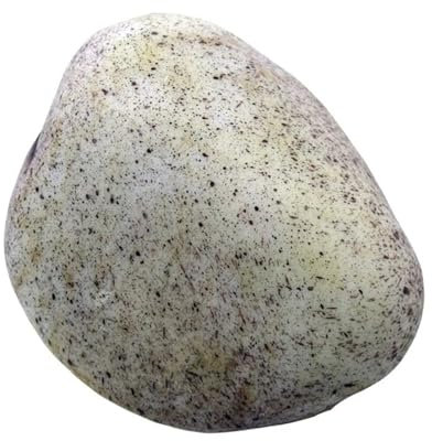 IXRRXMLD Pietra nascondiglio Chiave Scomparto Segreto for Portachiavi in ​​Finta Roccia da Esterno. Scomparto Segreto for Scatola di Risparmio for Chiavi in ​​Pietra realistica