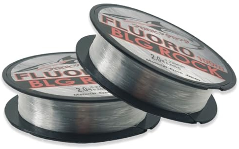 ROKZELT 2 Piezas 0,8 mm/100 m Hilo de Pesca monofilamento de Nailon Transparente, Hilo de Pesca monohilo, línea de Pesca de Nailon sólido, para Trucha, Carpa, Pescado, lucioperca
