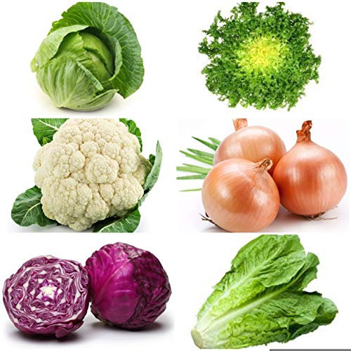 Semillas de verduras, lote de 6 sobres