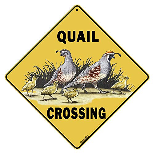 CROSSWALKS Quail Crossing 12 X 12 Aluminum Sign (X143)