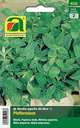 Austrosaat 4235 Pfefferminze (Pfefferminzesamen)
