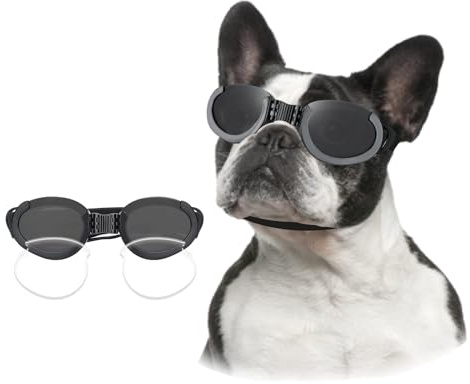 Lesypet Lunettes de soleil pour chien avec verres remplaçables pour chiens de taille moyenne et grande - Anti-UV - Protection contre le vent - Pour l'extérieur, la moto, la conduite, la protection des