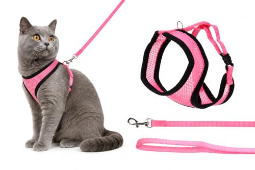 Harnais pour Chat - Harnais Harms Rose pour Chaton avec Laisse - Mesh Respirant Doux - réglable avec Fermeture clic et Mousqueton - 28cm / 32-41cm / 110cm