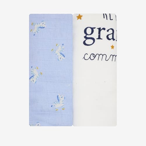 Trois Kilos Sept Set di 2 pannolini per neonati, in mussola di cotone, multiuso, per allattamento, piccoli rigurgito, bianco e blu, certificato Oeko-TEX standard 100-120 x 120 cm