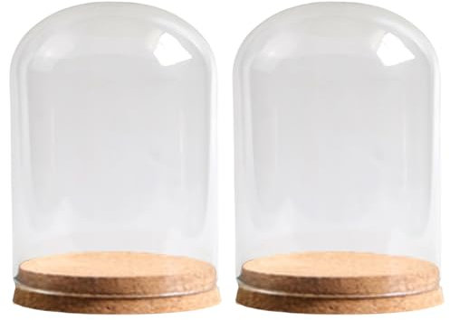 Xinsheinelry 2 Pack Glass Bells Jar Display Stands with Cork Base pour Projets Créatifs Small Glass Cloche Dome Terrariums Bouteilles