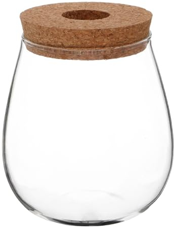 TOYANDONA Glass Hydroponic Vase Clear Propagation Vase for Plants Transparent Desktop Planter for Water Propagation Botanical Terrarium Style Holder for Pothos Bookshelf and Office Decor