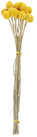 Tomotato Bukett med torkade blommor, multifunktionell dekoration för bröllop, fester och hem, dehydratiserade blommor, torkade blommor bukett för bordslöpare kransar och hantverk