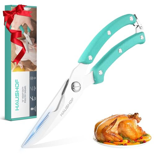 HAUSHOF Forbici da Cucina 10 255 mm, robuste forbici da cucina affilate in acciaio inox, forbici da carne per carne, pollo, pesce, ossa, verdure