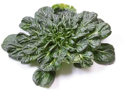 Just Seed Pak Choi - Tatsoi - Rossetta - 50 Seeds - Small Garden Pack