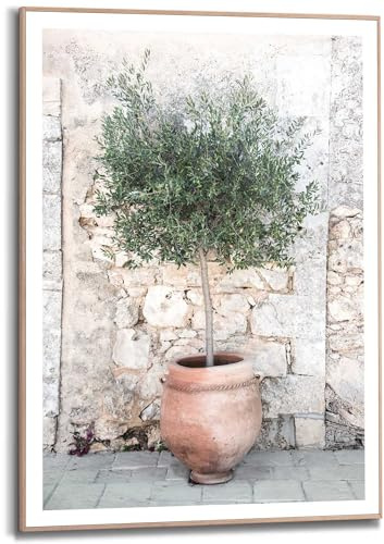 REINDERS Gerahmtes Bild, Olivenbaum, Wohnzimmer, Poster, Wanddeko, Room Decor, MDF, Grün, 70 x 50