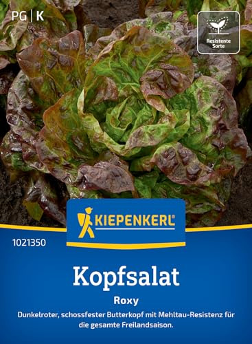 Kiepenkerl Kopfsalatsamen Roxy 1021350, Gemüsesaat
