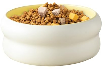Kattskålar Keramisk Hundmatskål, Mikrovågssäker, Vattenskål, Husdjur, Valp