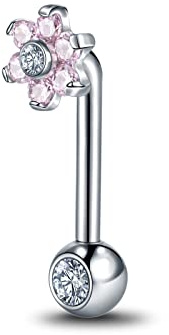 Xpircn 14G G23 Titanium Christina Piercings Barbell VCH Bar Genital Jewellery Curved Barbell Piercing Jewelry (Pink)
