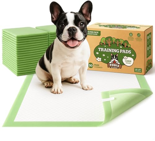 Pogi träningsmattor för hundar - extra absorberande och luktblockerande, 60x60 cm, 50-pack