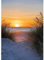 MXJSUA DIY Diamond Painting Kits für Erwachsene Landschaft Sonnenuntergang Diamond Art Paint mit runden Diamanten Vollbohrer Edelstein Kunst Malerei Kit für Home Wall Decor 30x40cm