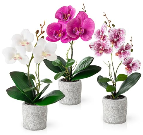 PASCH® Fiori artificiali in vaso (35 cm) – Set di 3 orchidee artificiali in vasi di cemento, fiori artificiali, orchidee artificiali (bianco rosé, vasi di cemento)