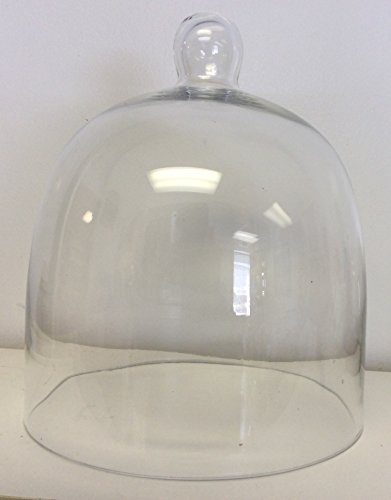 Wedding Cake Topper Display Bell Dome