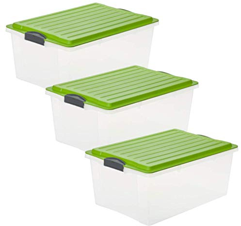 Rotho Compact 3er-Set Aufbewahrungsbox 38l mit Deckel, Kunststoff (PP) BPA-frei, transparent/grün, 3 x A3/38l (57.0 x 40.0 x 25.0 cm)