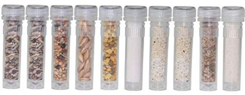 Tierfutter Ameisen Food Mix Set - für Körnersammler 10x 2ml