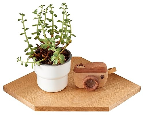 OAKERLAND Flotantes Baldas para Esquina Madera Maciza, Estantería Esquina con Orificio de Alambre para Cables, Baldas para Esquina de Roble Pared para Baño, Cocina, Dormitorio, Salón (22 cm)