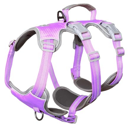 Huntboo Arnés para Perro a Prueba de Escape, arnés Reflectante con asa Acolchada, Transpirable, Ajustable, Chaleco Impermeable para Perros pequeños, medianos y Grandes Que Caminan (Lila Lavanda, M)