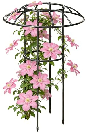 Enrejado Paraguas para Jardin | Soporte Decorativo Robusto para Plantas Trepadoras | Estructura de Soporte en Forma de Sombrilla,para Enredadera Rosa Pitaya Pepino Hortensia Jazmín Pothos