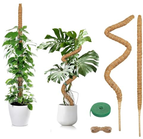 AMSGANK 2 Pezzi Bastone di Muschio, 60cm Palo di Muschio Pieghevole Supporti per Piante Fibra di Cocco Tutore Muschiato per Monstera per Piante Rampicanti da Interno