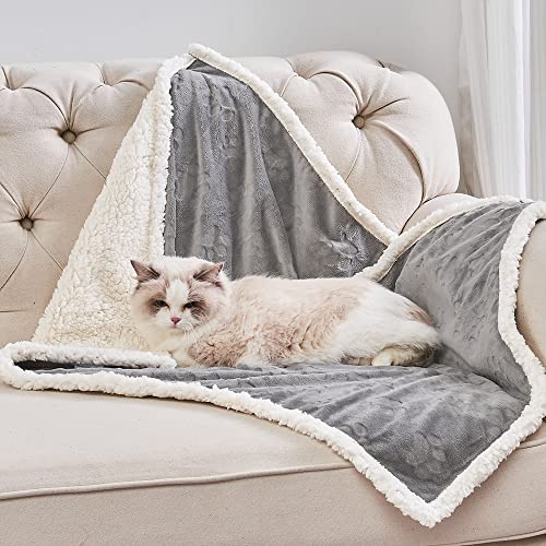 Qeils Pet Blankets for Cats - Waterproof Cat Blanket Washable - Sherpa Fleece Puppy Blanket, Soft Plush Reversible Throw Protector for Bed Couch Car Sofa, 25X30, Grey