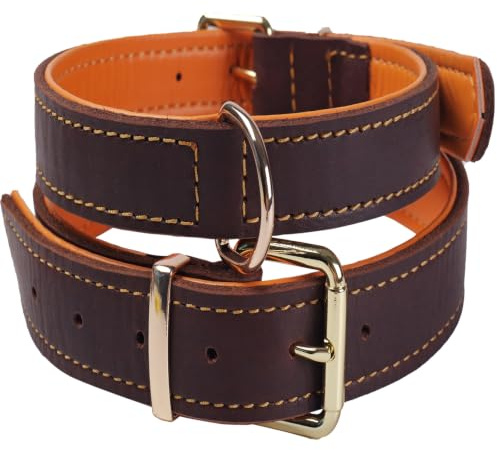 Collier Chien Cuir Véritable Rembourré Réglable Robuste （Marron L）