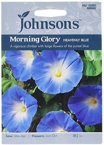 Johnsons Morning Glory Heavenly Blue