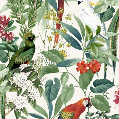 World of Wallpaper Ikala Tropical Birds Papegojor Tapet Perfekt för sovrum, lounger, matsalar och hallar (vit)