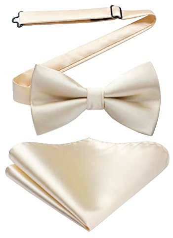 HISDERN Cream Bow Tie for Men Audlt Pretied Bow Tie with Handkerchief Elegant Adjustable Stain Bowtie Beige for Wedding Banquets Opera