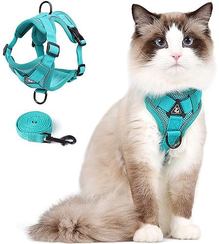 Cat Harness and Leash Set Katzengeschirr mit Leinen Katzenleine, Katzengeschirr Ausbruchsicher Verstellbare Weste mit Leine für Kätzchen im Freien, Weiche Netzjacke mit Reflektorstreifen (M, Grün)