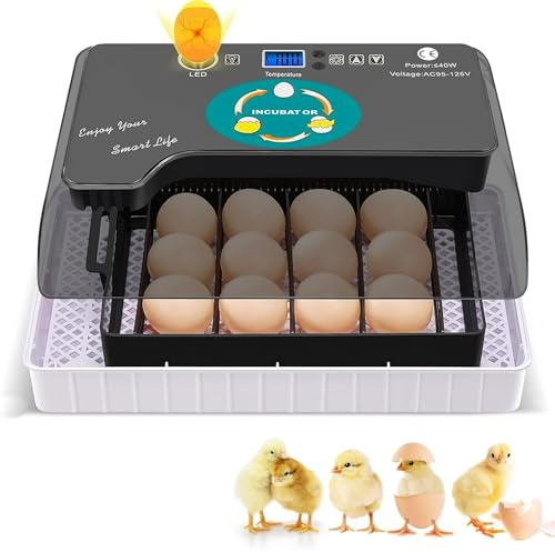 SSZYace 12 Eier Inkubator Hühner Vollautomatisch Automatischer digitaler Brutkasten Inkubator Hühner mit LED Beleuchtung Temperaturregelung Auto-Flip, für Hühner Enten Gänse Taube
