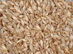 iffland Merino Europa Kiloware Vannure d'épeautre 10 kg
